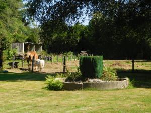 Maisons de vacances Le Moulin L'Eveque : photos des chambres