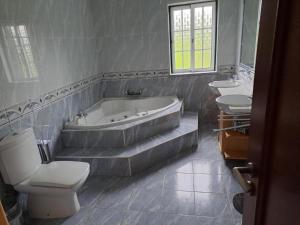 Casa Pinho