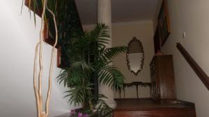 Casa Pinho
