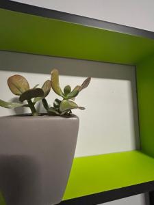 EOS ΉΩΣ city nook apartment