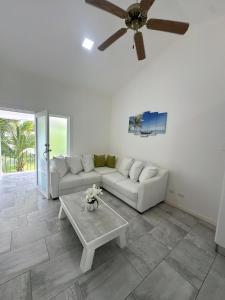 Oasis Tropical