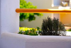 La Fosca Home - A pocos pasos del mar