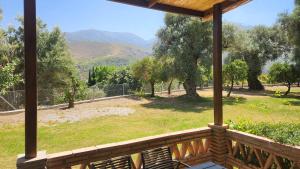 Los Olivos Centenarios