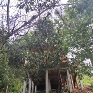Cabaña con chimenea y fogata en el bosque cerca deSan Jose del Pacifico