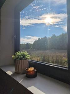 The quiet corner within proximity to it all!