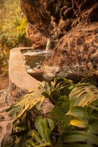 Garden House Wellness & Sauna