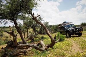 Halala Africa Lodge