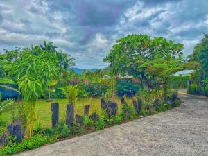 Bougainvillea Suites