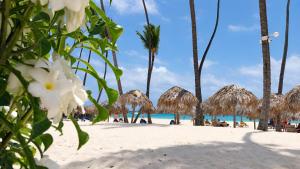 Palapa Tropic Beach Punta Cana