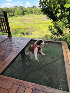 Amazon Magic Lake House, 3 Hab, Vista a Laguna