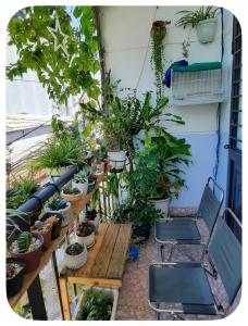 Sena Homestay By Dragon Bridge-Danang Han River