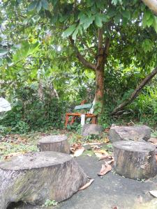 Drapers San Guest House