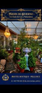 A Hotel Boutique Pelluhue