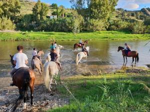 Countryside Escape Just Minutes from the Coast