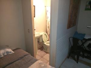 Hostal Nativo Central