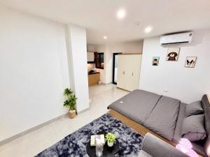 Nerland Studio 255 Cầu Giấy
