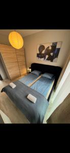 Misa Home