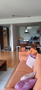 Apartmán ANET 219