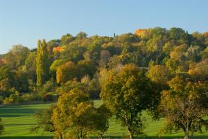 Chateau Mcely