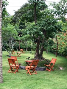 Homestay Blackpink 1986