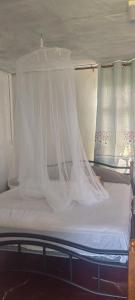 Henz and Sia tourist residence 2
