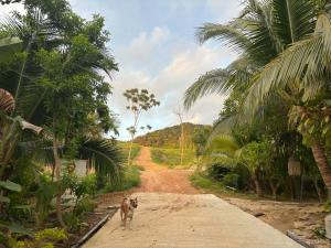 Bigs Mom Bungalows