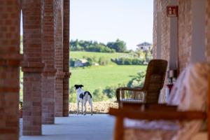 Podere Fonteviva Guest House