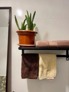 Private Tiny Studio in General Luna Town Proper