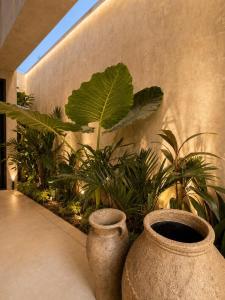 Villa Lupa