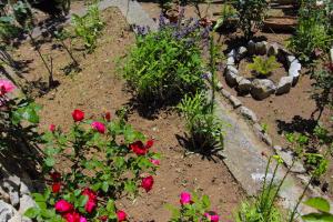 Villa Matilde Amalfi