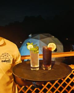 Nekoli Glamping - Riverside Domes with Mt Meru Views