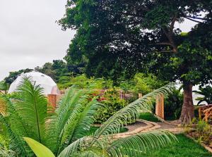 Nekoli Glamping - Riverside Domes with Mt Meru Views