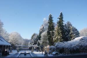 B&B Van Hunebed Naar Jullie Bed