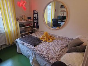Dovelle nest