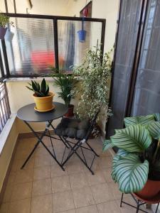 Casa Flos
