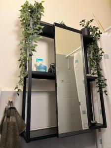 Rosehill apartment