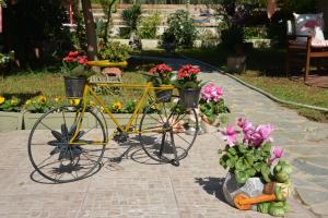 House with Big Garden Korinthia Greece