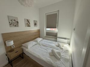 Apartament FARO