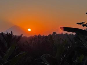 Bali jungle retreat