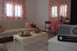 Dolphins Luxury House