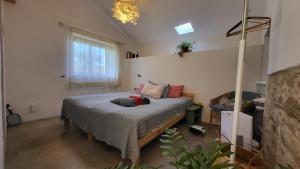 Casa Aurora- A Restful Home Beneath Starry Skies