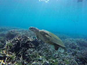 Trincomalee Marine Tours
