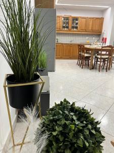 Prime Location in the Heart of Mellieħa