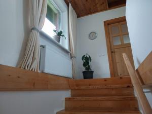 Apartment Jaunas Žīvenes
