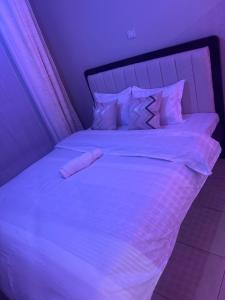 Tsavo superb studio