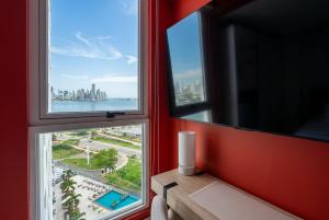 Skyline Views Designer Suite Zipline Onsite