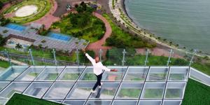 Skyline Views Designer Suite Zipline Onsite