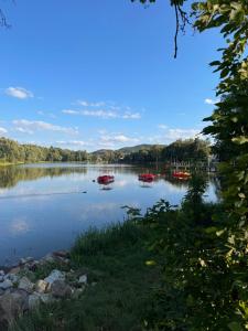 Luxury Apartment Green - cicha dzielnica przy parku