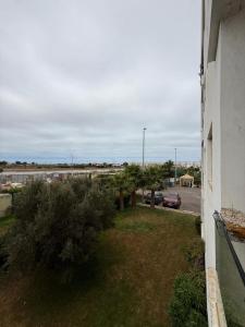 3 Bedroom Apartment in Tamaris Near the Coast