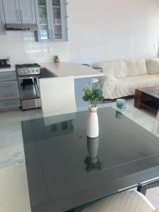 Aria Ocean 467